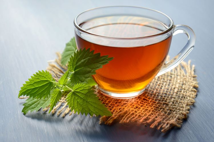 (Brotowali bisa dijadikan minuman seperti teh brotowali, sumber : canva)