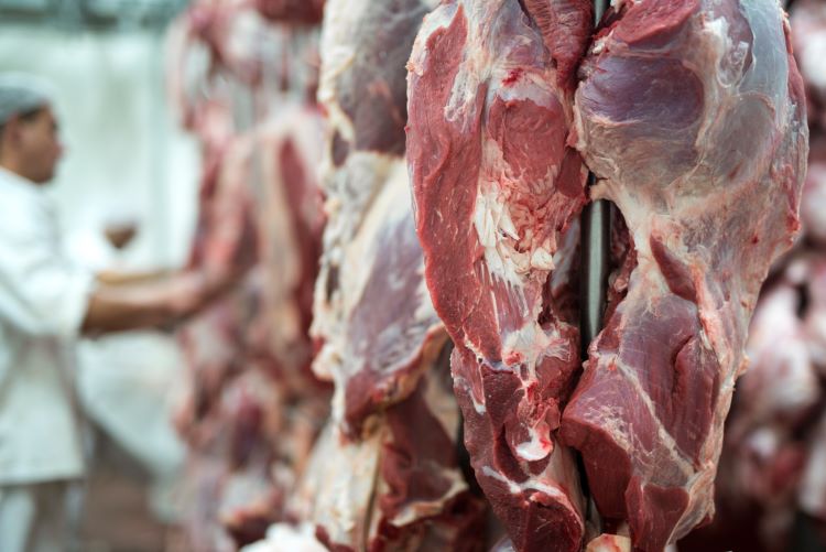 (Ilustrasi daging kurban, sumber : freepik)