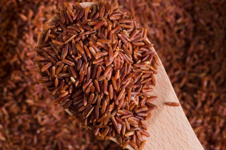 (Nasi cokelat menjadi salah satu rekomendasi nasi yang disarankan untuk diabetes, sumber : freepik)